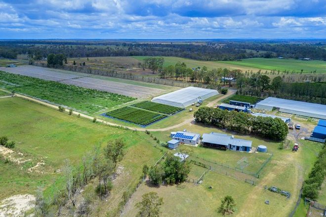 Picture of MOORLAND QLD 4670