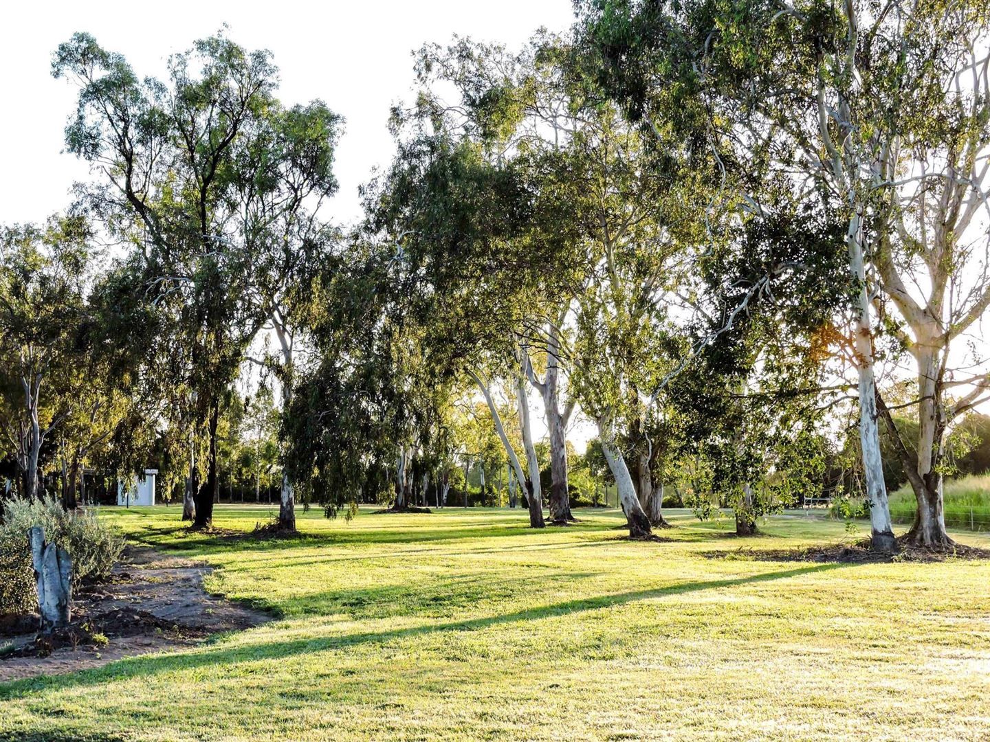 Carmila QLD 4739 Farm for Sale Domain