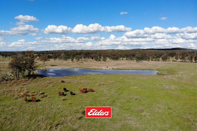 Picture of 13194 GUYRA ROAD, TINGHA NSW 2369