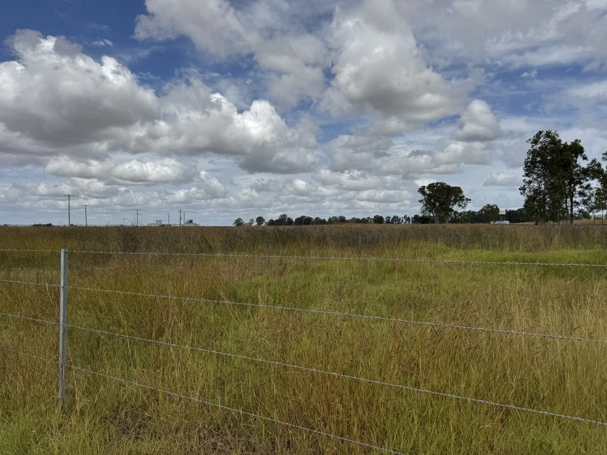 Image 6