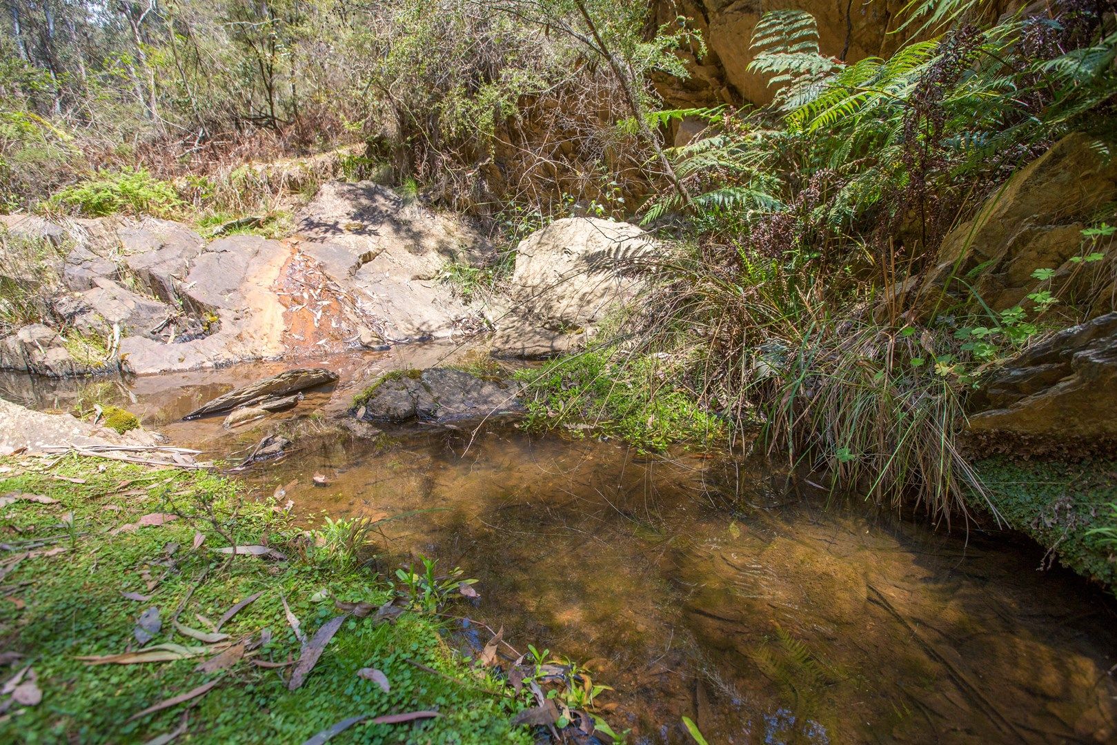 'Shelven Glen', 1221 Nowendoc Road, Niangala NSW 2354, Image 0