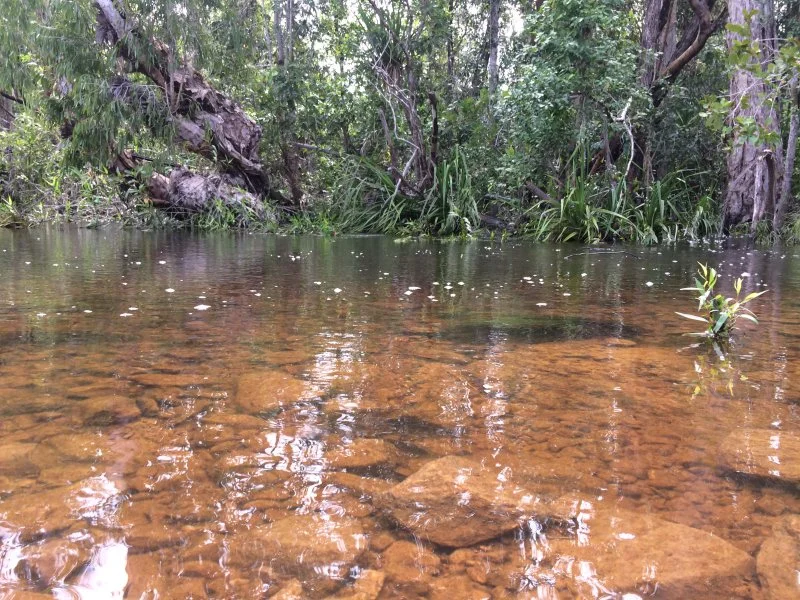 Image 10