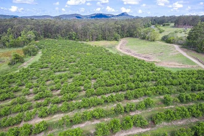 Picture of 201 Running Creek Road, NORTH ARM QLD 4561
