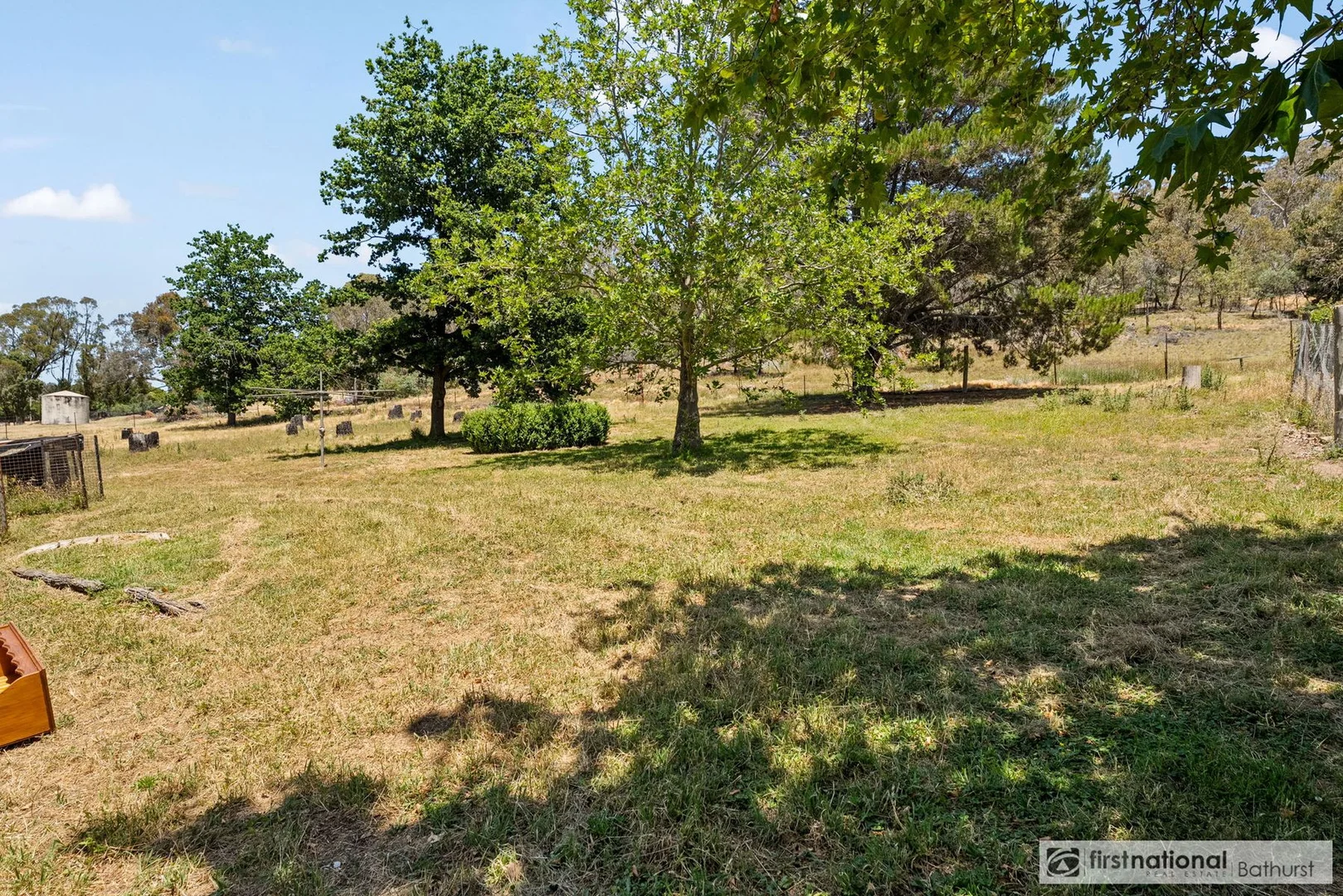 Image 12