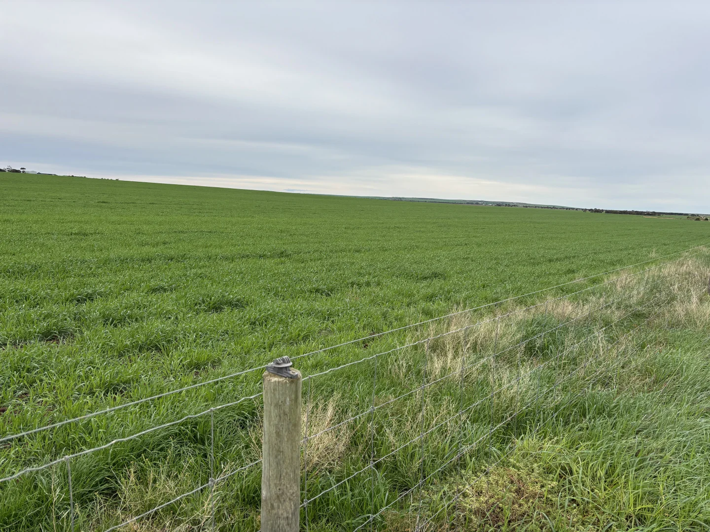 Image 13