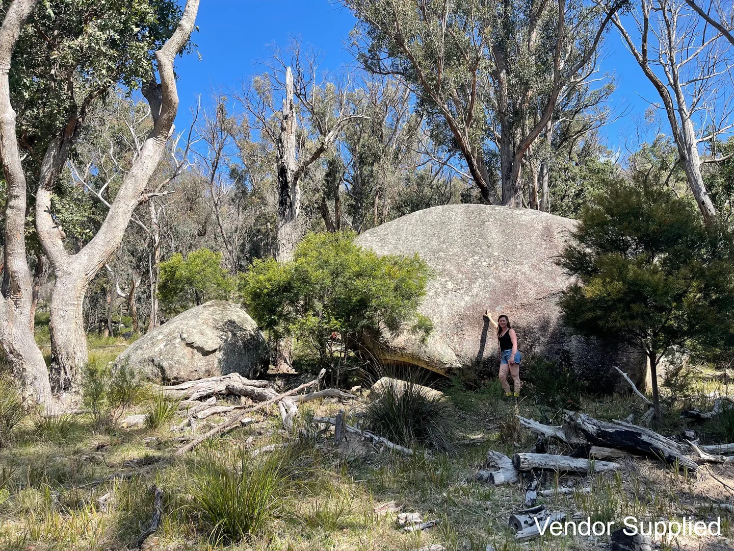 Additional image 5 of 1224 Mount Mckenzie Road, Tenterfield NSW 2372