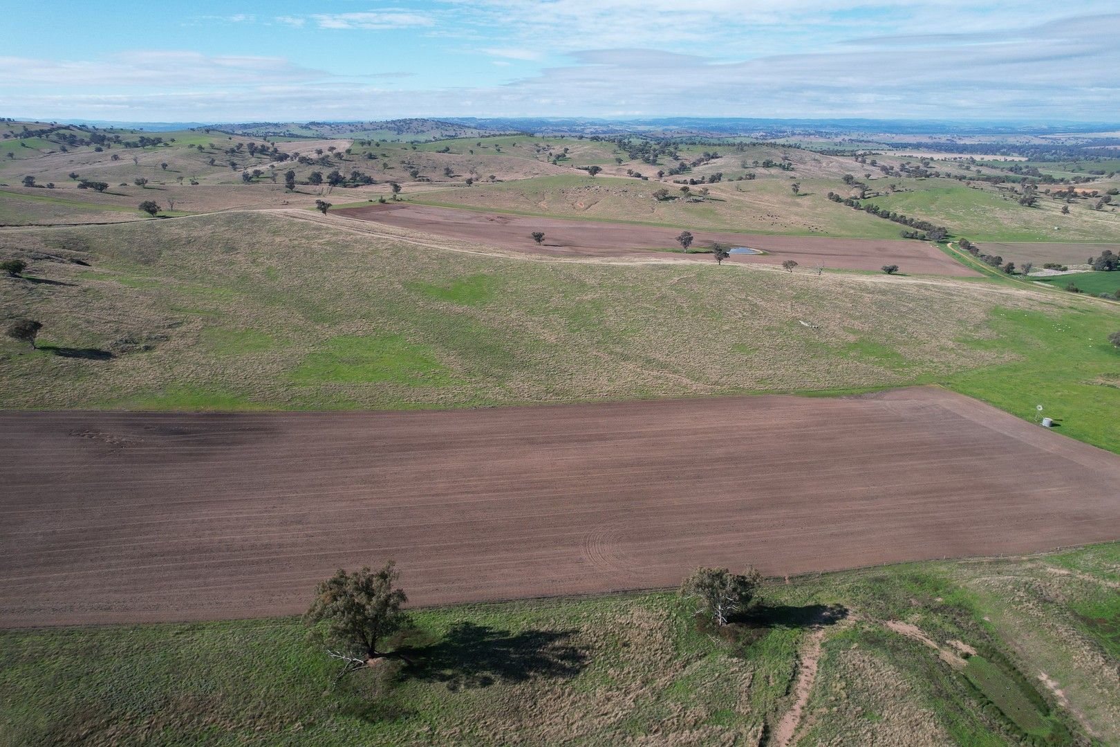 Rural in Fairfield Park Aggregation, WAGGA WAGGA NSW, 2650