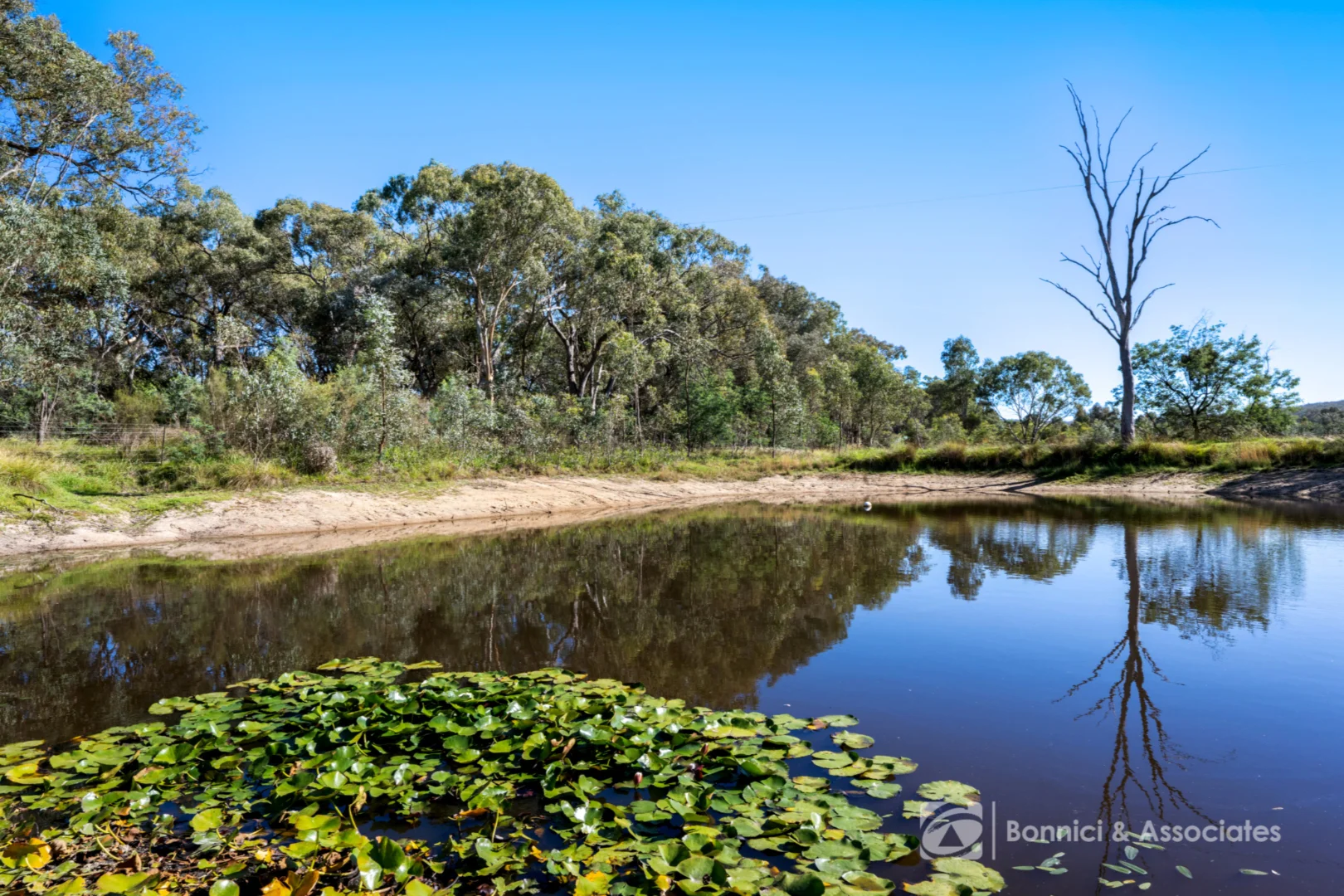 Additional image 41 of 482 Beechworth- Chiltern Road, Beechworth VIC 3747