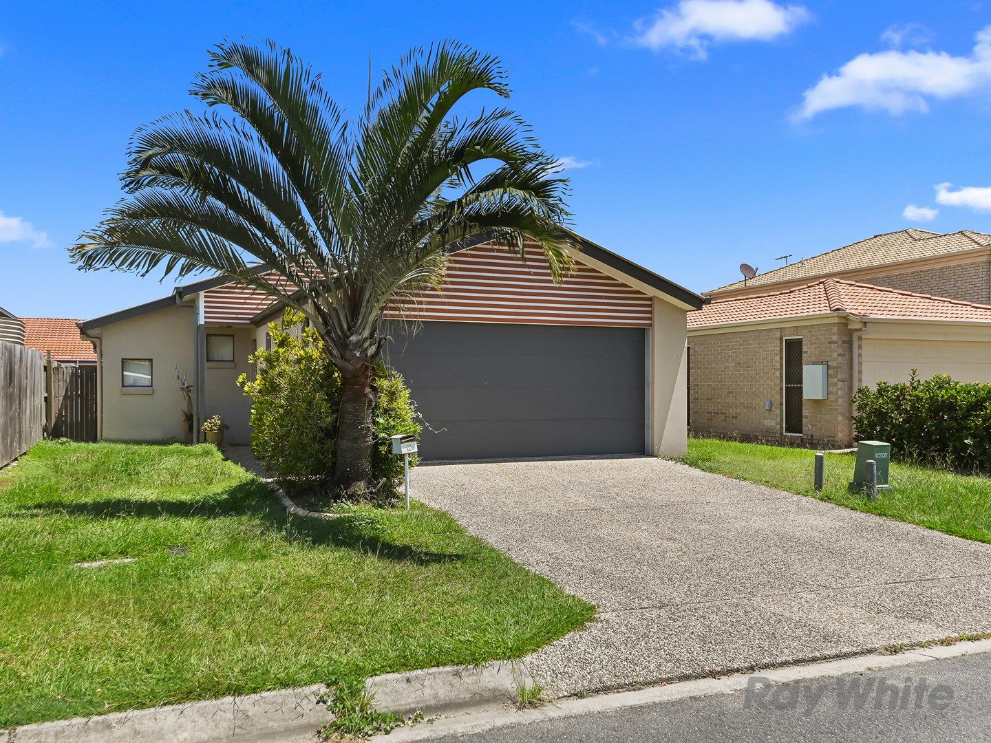 3 Amity Drive, Rothwell QLD 4022 House For Rent 520 Domain