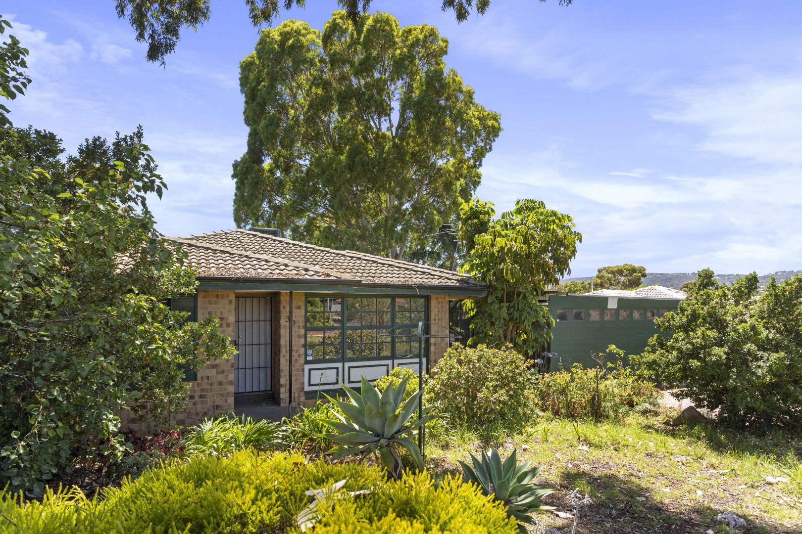 30 Dillon Street, Redwood Park SA 5097, Image 1