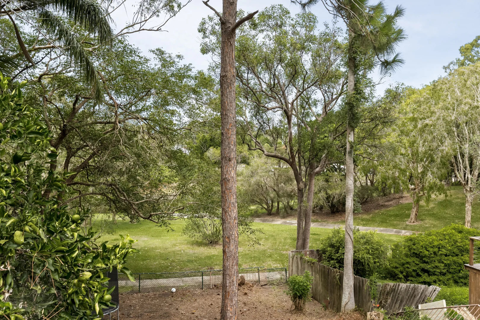 Image 19