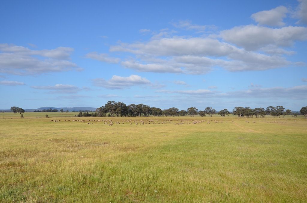 Moyreisk North Road, NATTE YALLOCK VIC 3465, Image 0