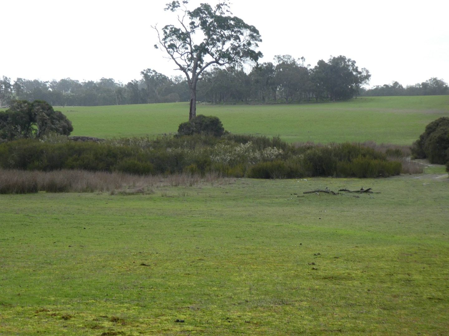 Lot 2249 Rocky Gully Road, Rocky Gully WA 6397, Image 1