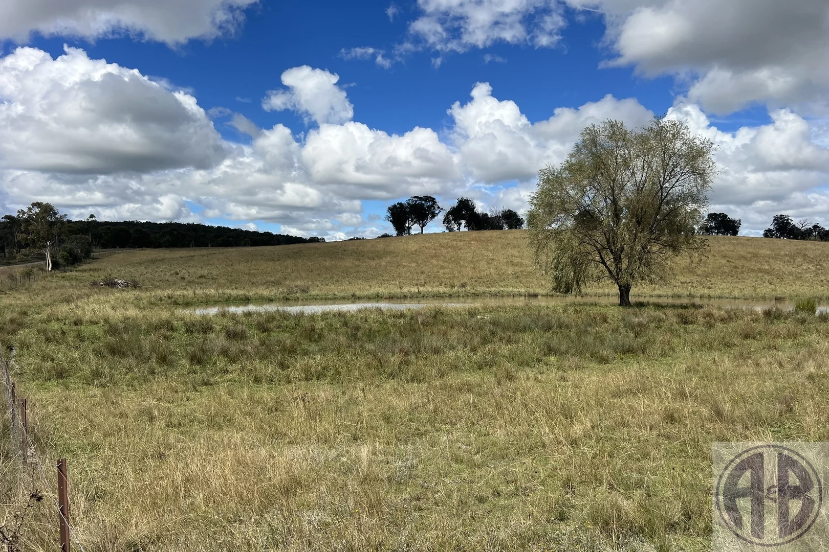 Image 10