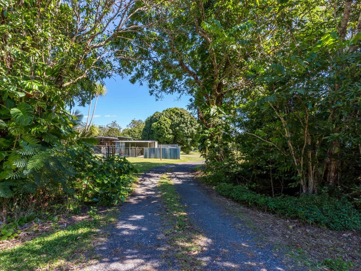 1373 Pine Creek Yarrabah Road, East Trinity QLD 4871, Image 1