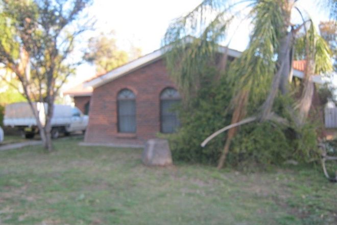 Picture of 12 Boland drive, MOREE NSW 2400