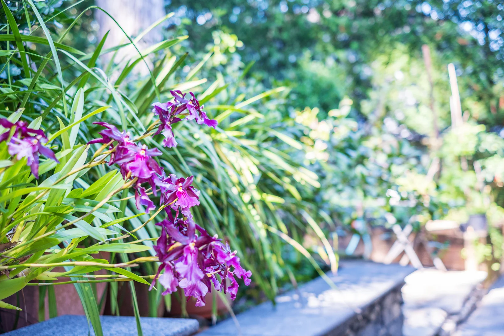 Additional image 24 of 1 Kiamala Crescent, Killara NSW 2071