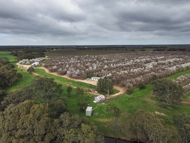 753 Meechi Road, Langhorne Creek SA 5255, Image 1