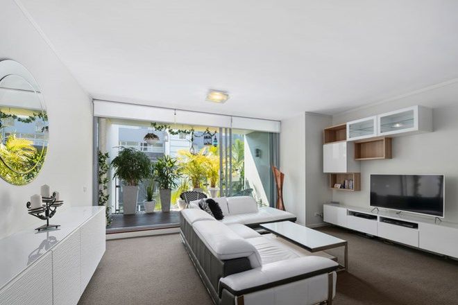 1540 Rental Properties In Kensington Nsw 33 Kensington Sa 5068 Domain