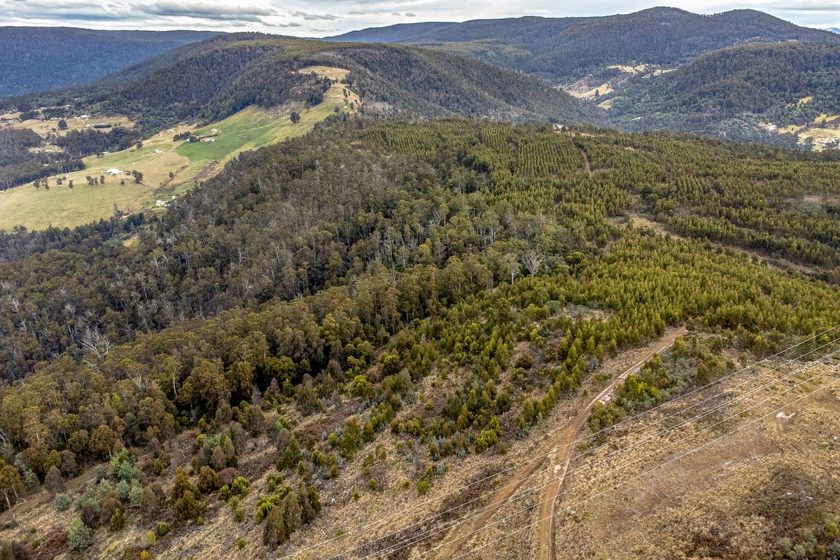 Moss Beds Road, Lachlan TAS 7140, Image 0