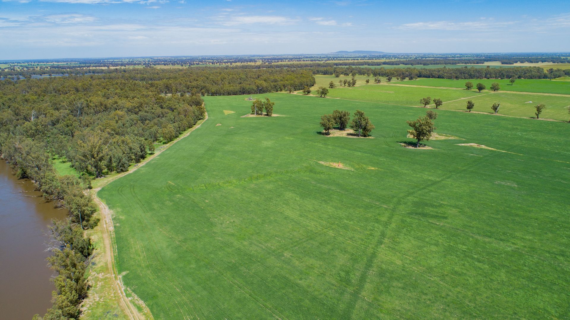Ganmurra Road, Currawarna, Wagga Wagga NSW 2650 House for Sale