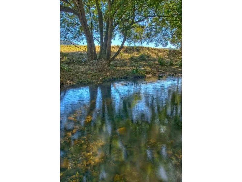 Image 13