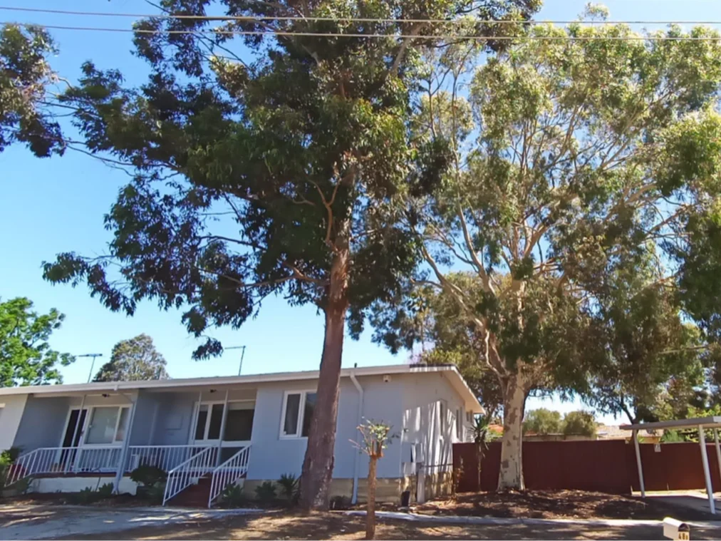 Image 7