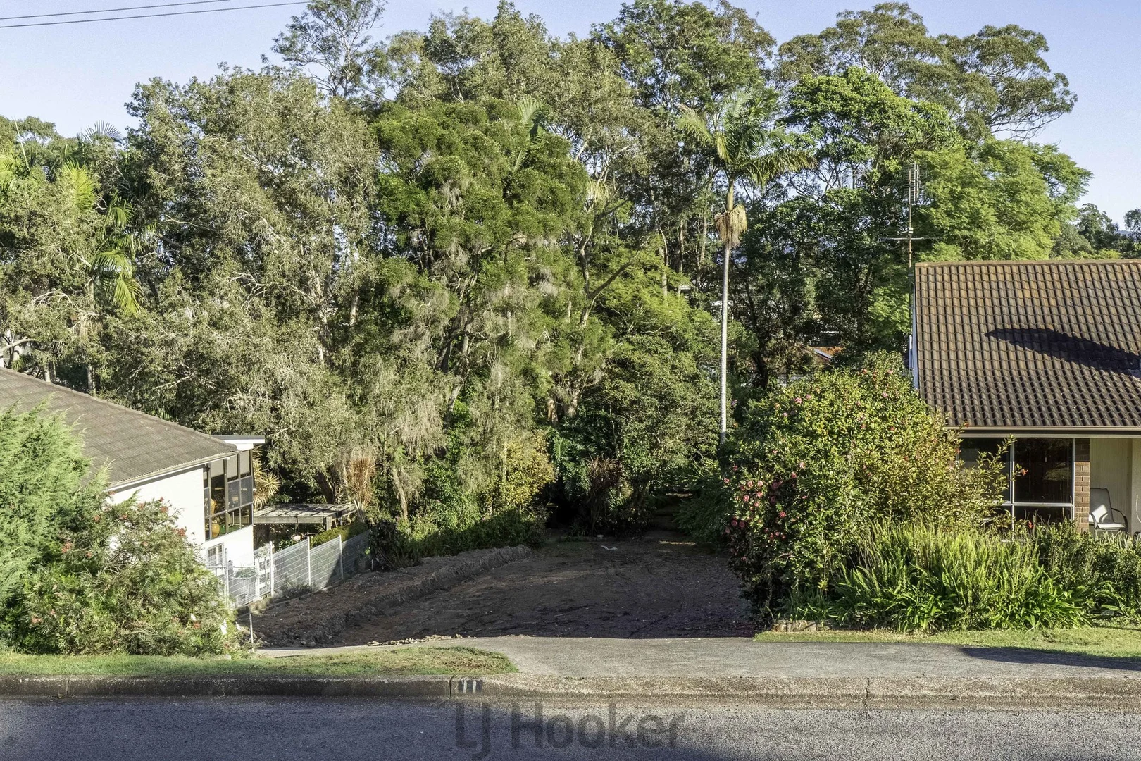 Image 6