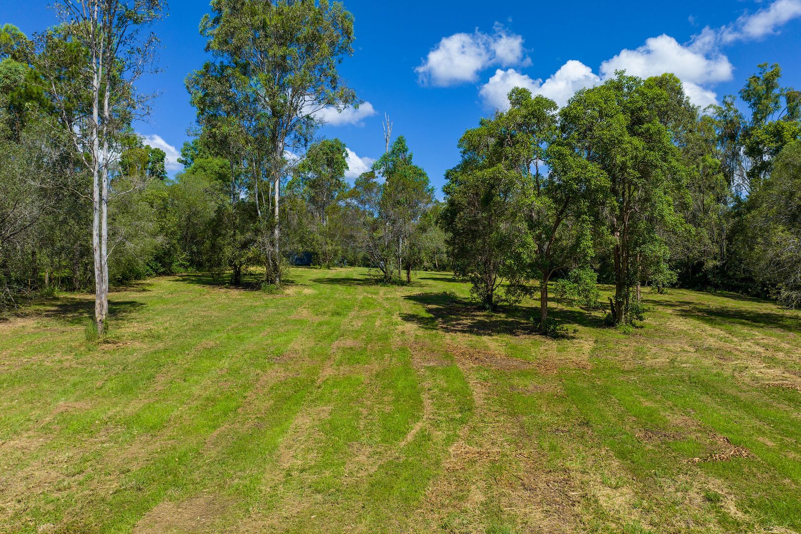 Lot 213 Arborthree Road, Glenwood QLD 4570, Image 1