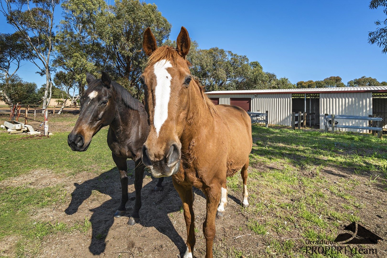 21 Polo Road, Woorree WA 6530, Image 0