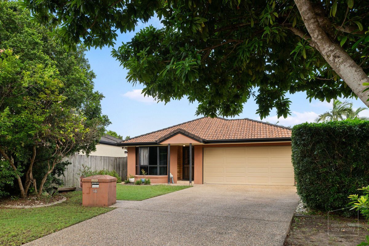 14 Azalea Place, Currimundi QLD 4551, Image 0