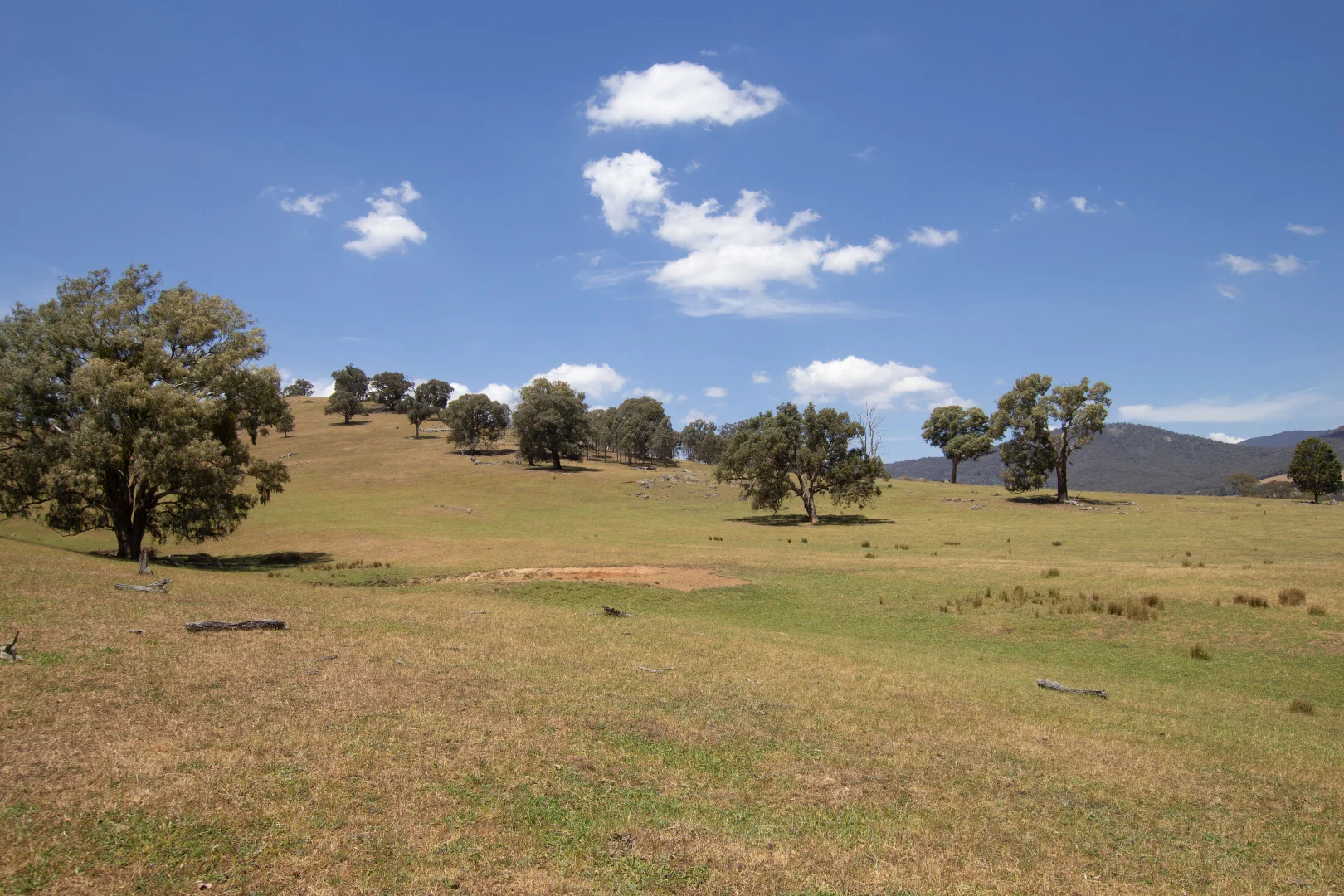 Image 15