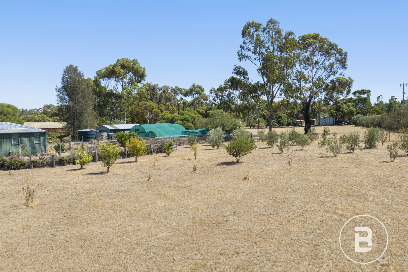 Image 14