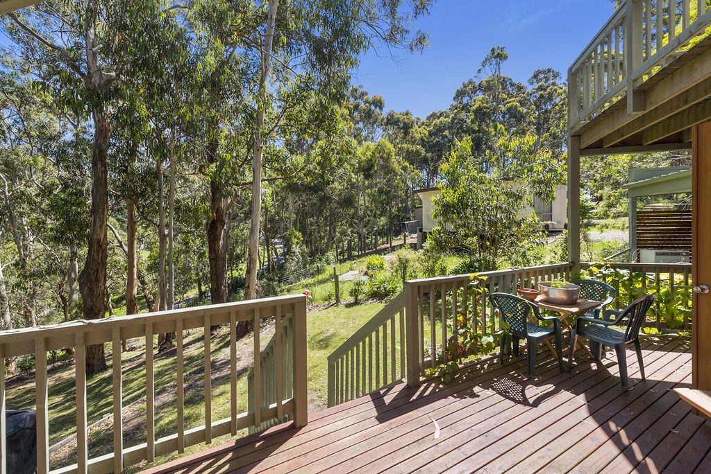 65 Old Coach Road, Skenes Creek VIC 3233, Image 2