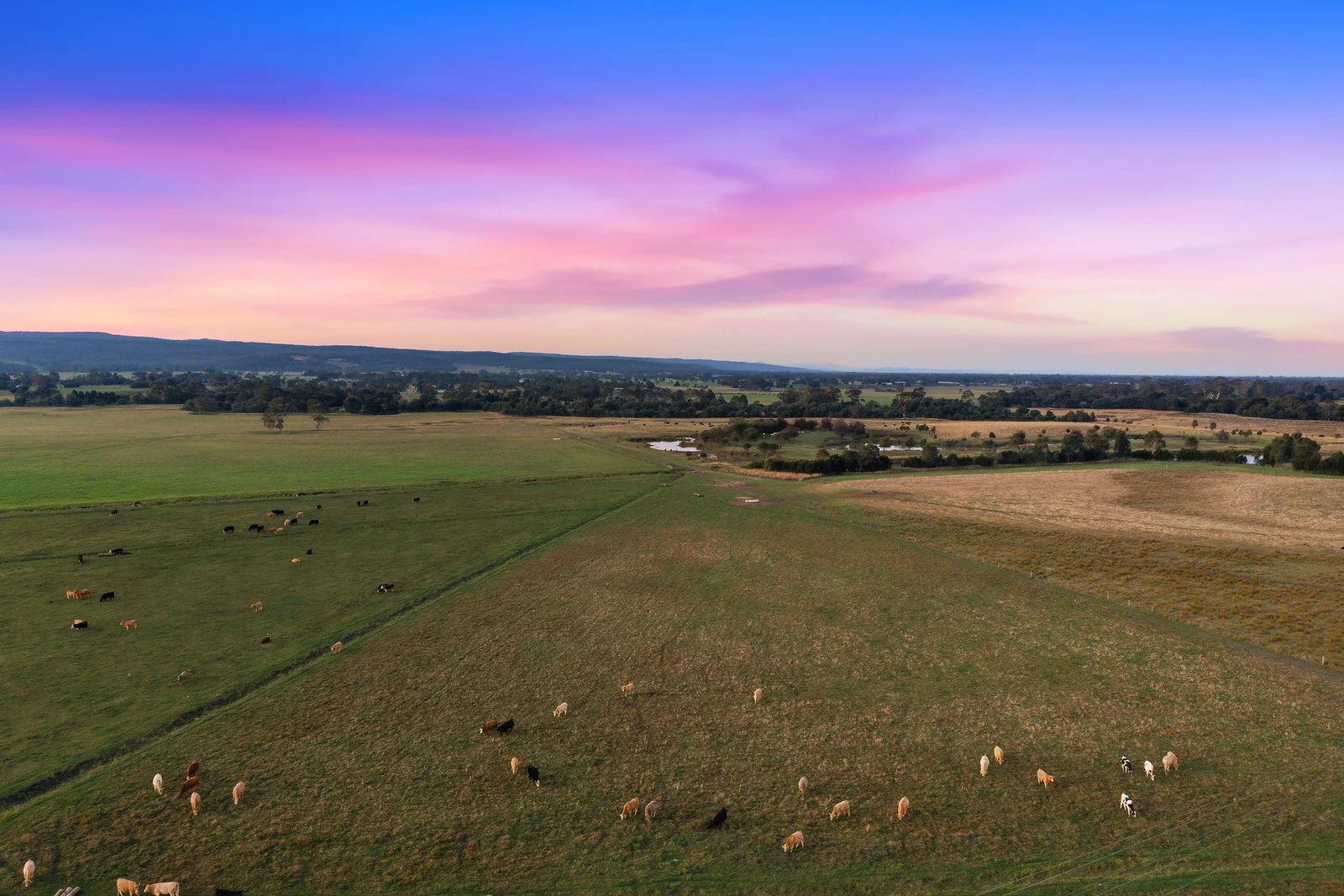 Additional image 5 of 89 Riverslea Boulevard, Traralgon VIC 3844