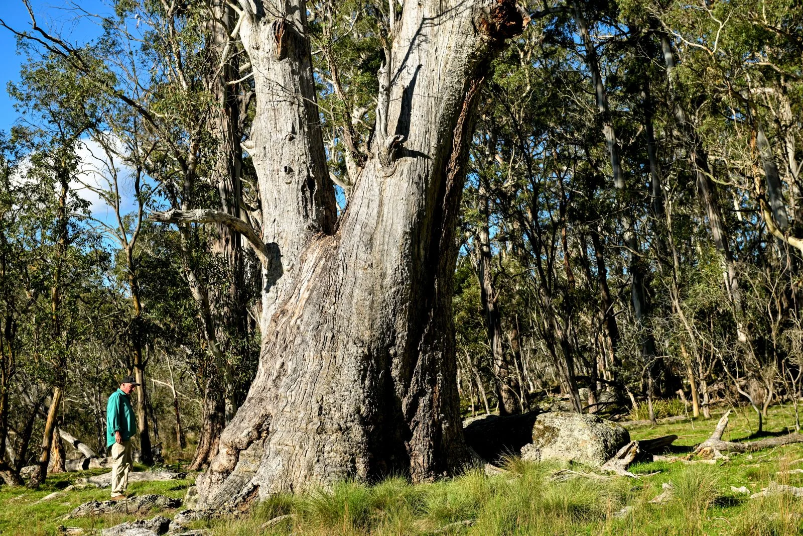 Image 11