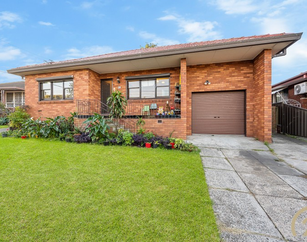 29 Jasmine Crescent, Cabramatta NSW 2166