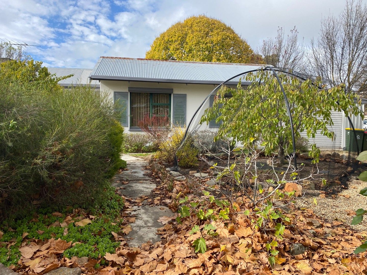 120 Melrose Street, Mount Pleasant SA 5235 Domain