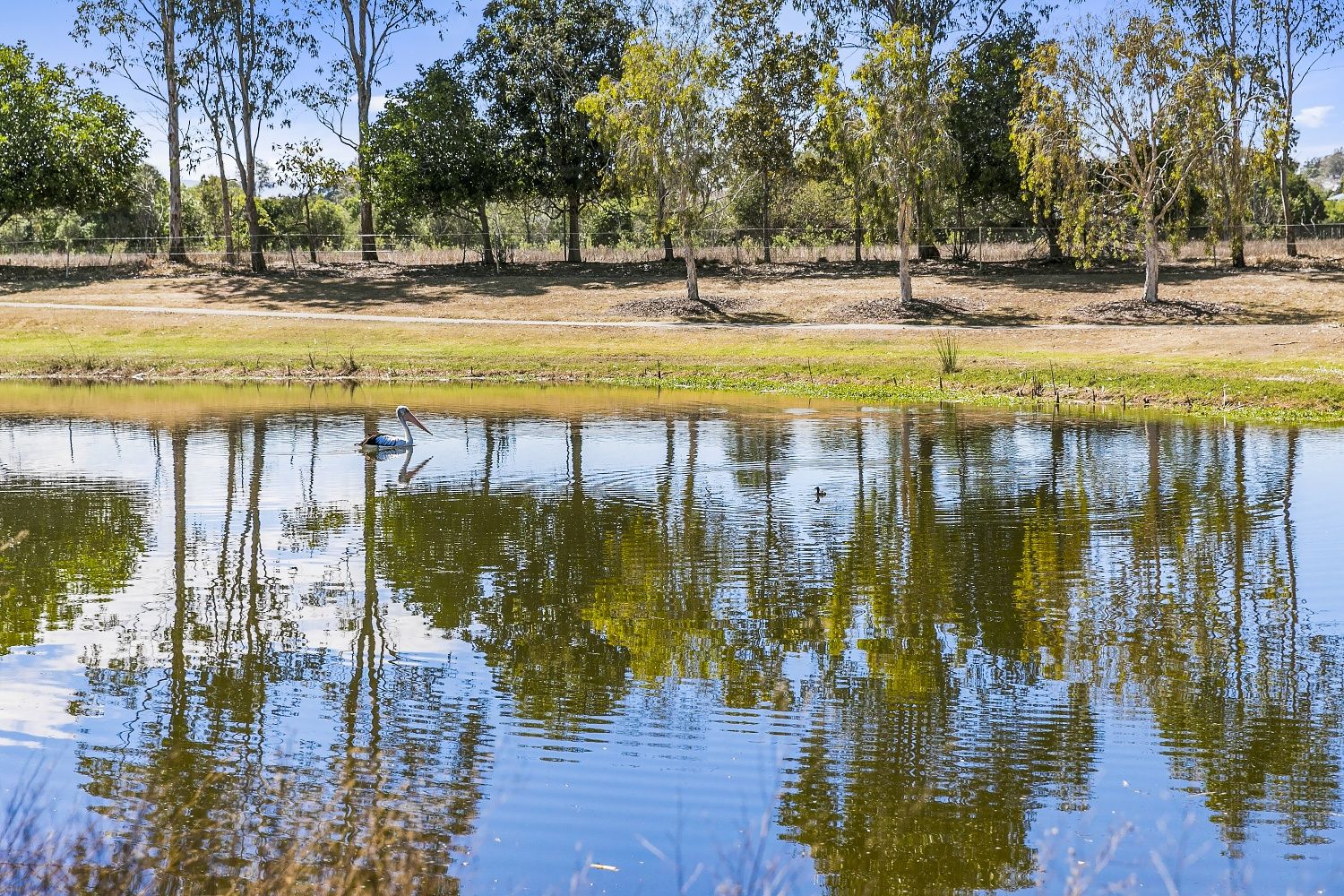 Kilcoy QLD 4515, Image 1