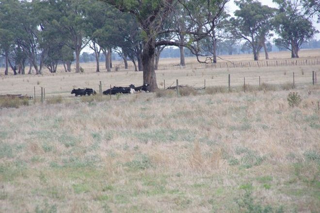 Picture of Lot 4 Boundary Road, DRUMANURE VIC 3636