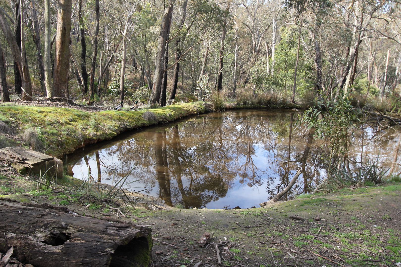 647 Pittong-Snake Valley Road, Snake Valley VIC 3351, Image 1