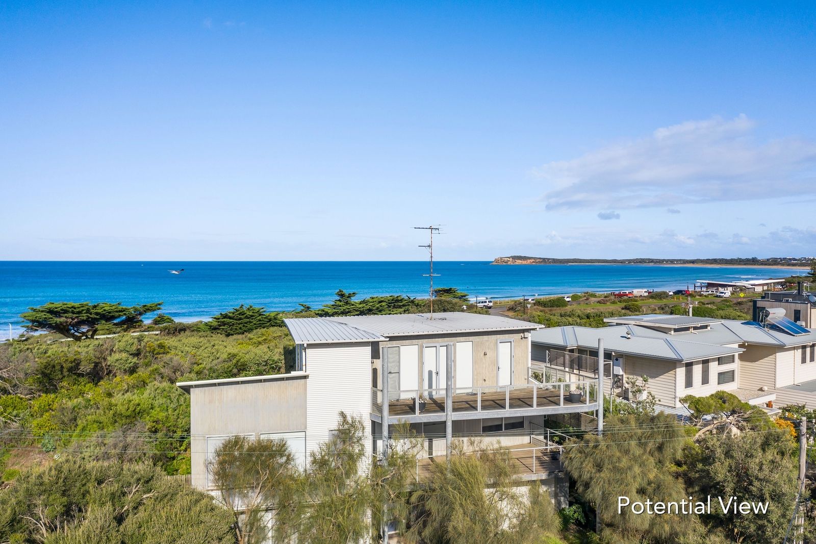 45 Osborne Street, Ocean Grove VIC 3226 Domain