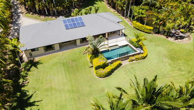 Picture of 331 Petrie Creek Road, ROSEMOUNT QLD 4560