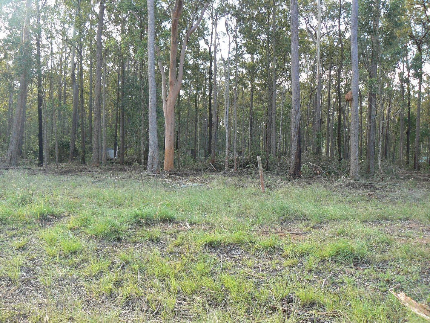 Lot 10 Gibson Road, Benarkin QLD 4314, Image 0