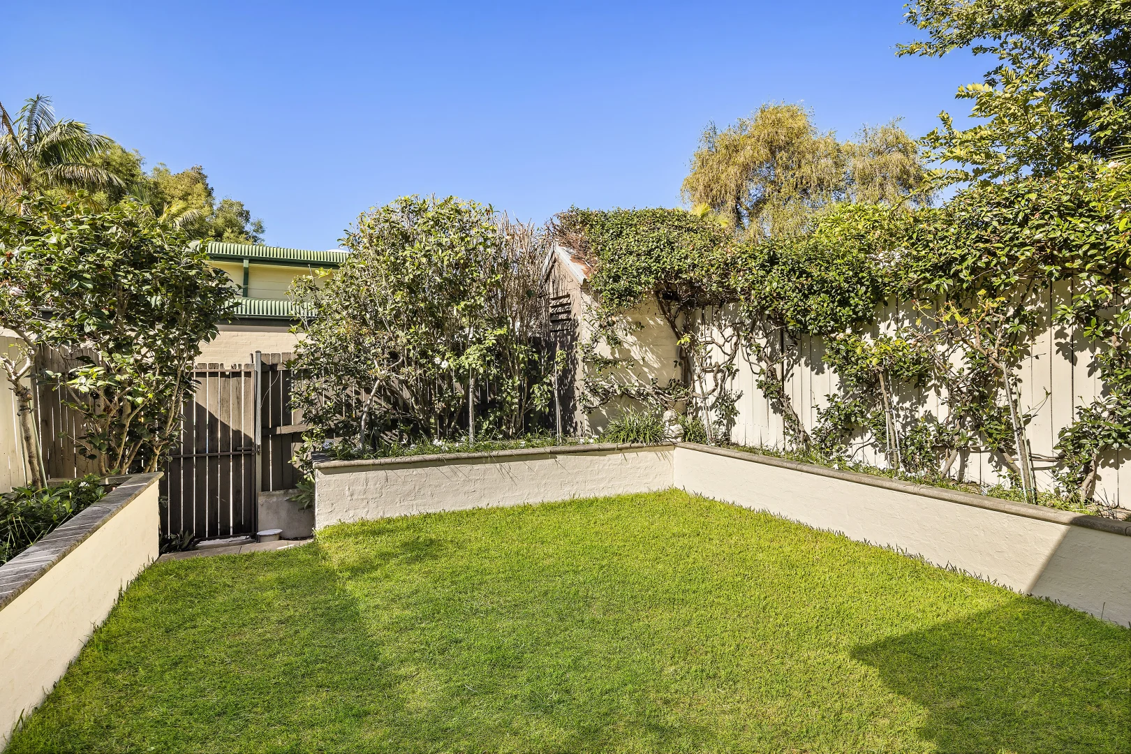 Additional image 7 of 24 Ryan Street, Lilyfield NSW 2040