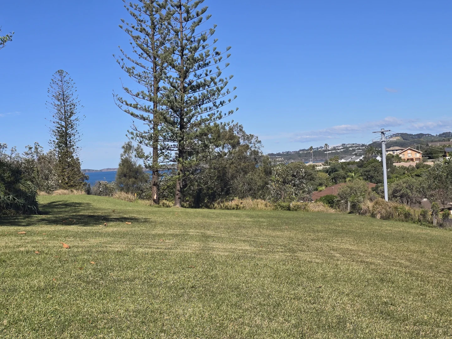 Image 10