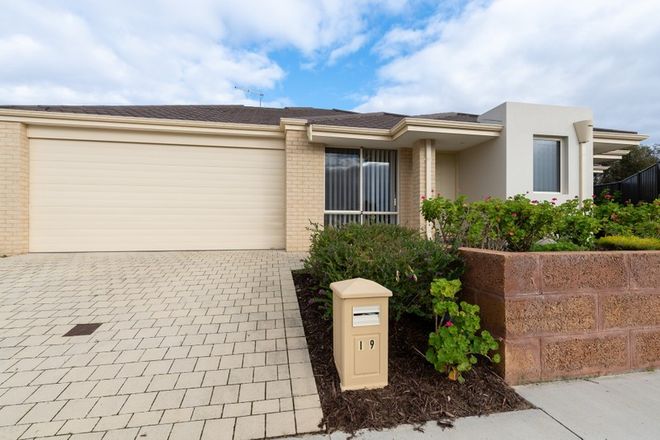 Picture of 19 Mystery road, BANKSIA GROVE WA 6031