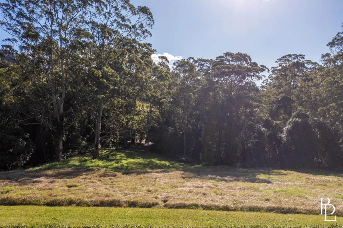 Additional image 28 of 555 Tourist Road, Bellawongarah NSW 2535