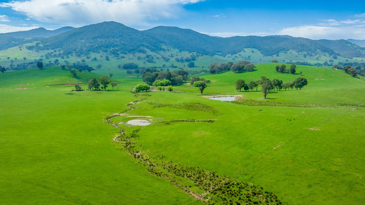 Tallangatta Creek Road, Tallangatta Valley VIC 3701, Image 0