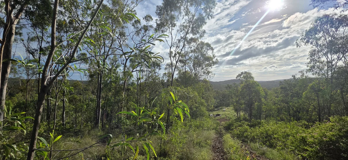 Image 21
